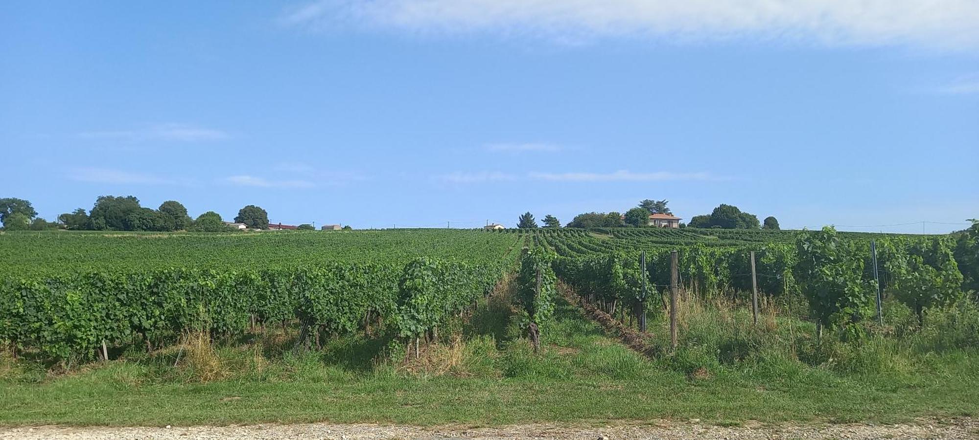 L'Hermitage D'Alienor Lugon et l'Ile du Carney Exterior photo